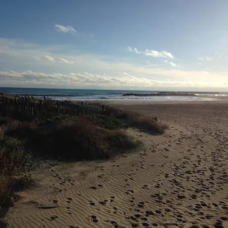 Cosy A Sete, Proche - Fr-1-338-337 Сет