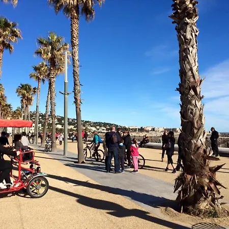 Cosy A Sete, Proche - Fr-1-338-337