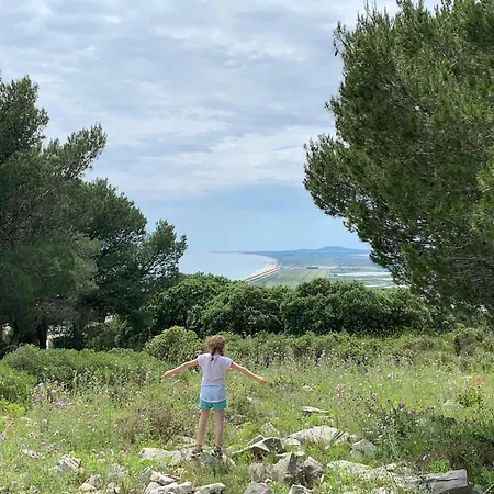 Appartamento Cosy A Sete, Proche - Fr-1-338-337 Sète