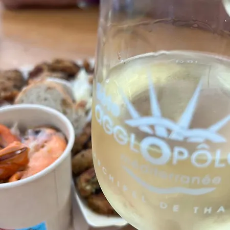 Apartamento Cosy A Sete, Proche - Fr-1-338-337