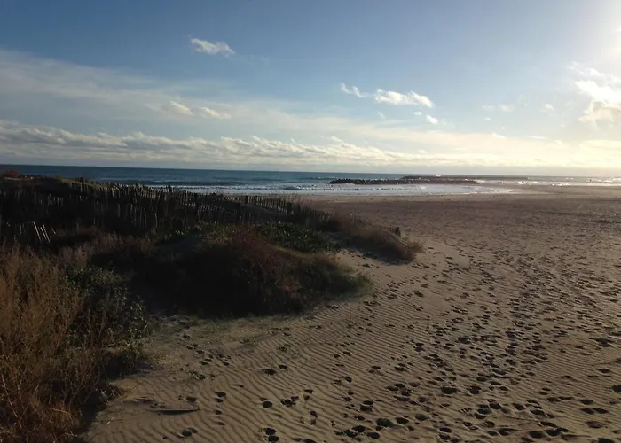 Cosy A Sete, Proche - Fr-1-338-337 Sète