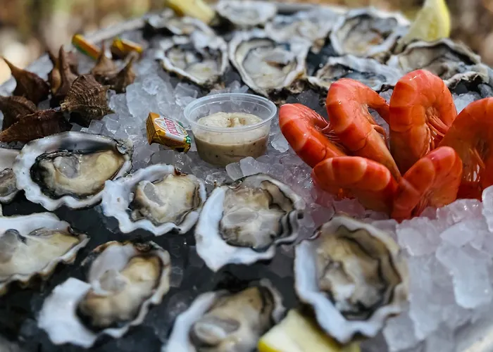 Cosy A Sete, Proche - Fr-1-338-337 Sète