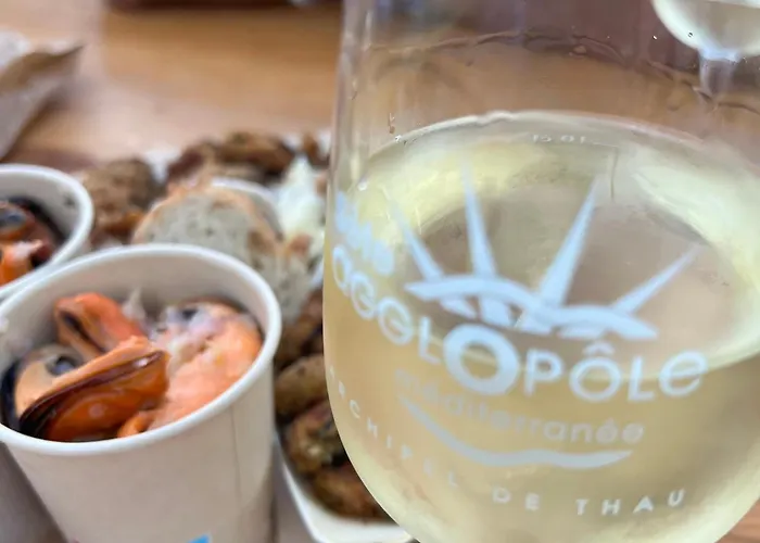 Lägenhet Cosy A Sete, Proche - Fr-1-338-337